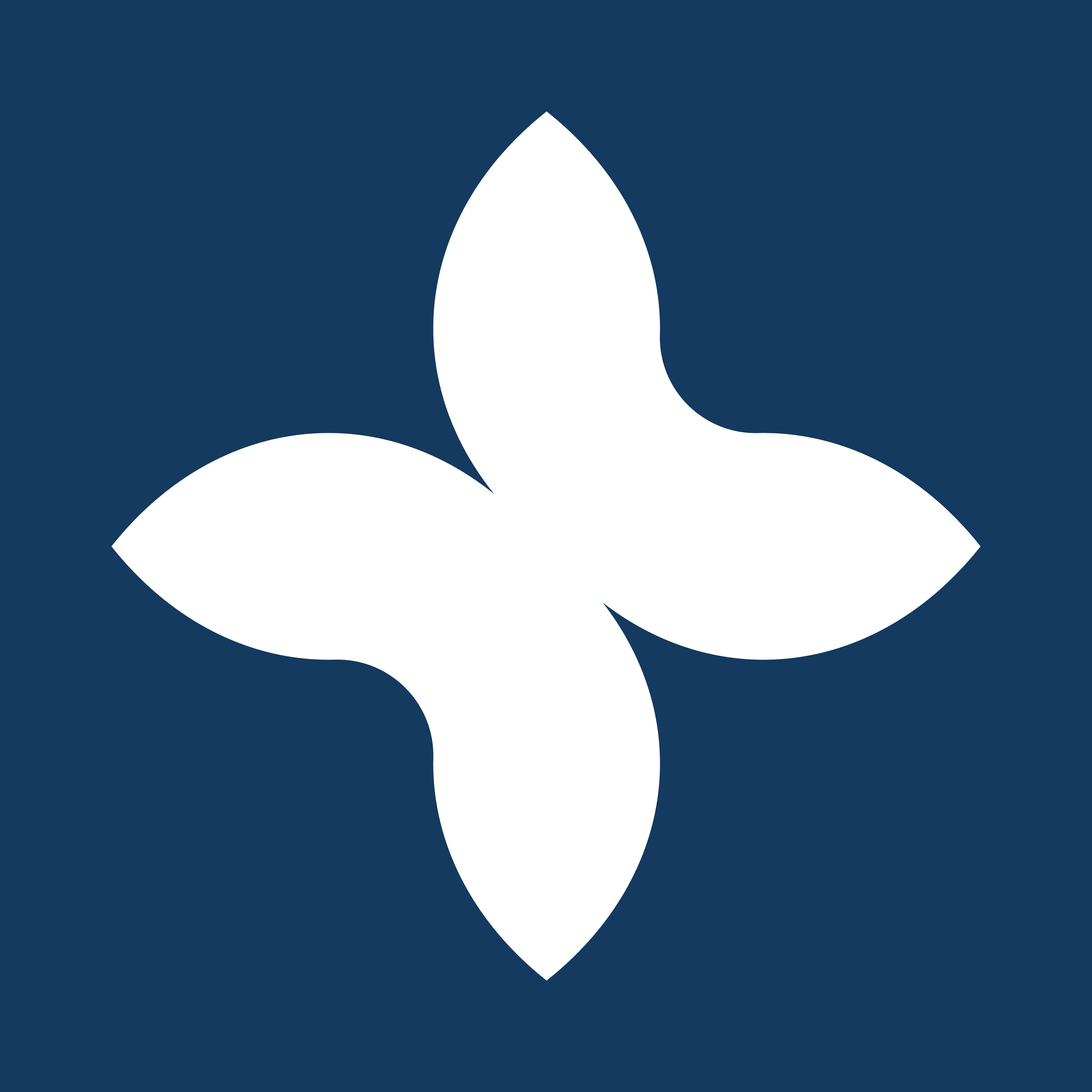 Briklix_sygnet_1